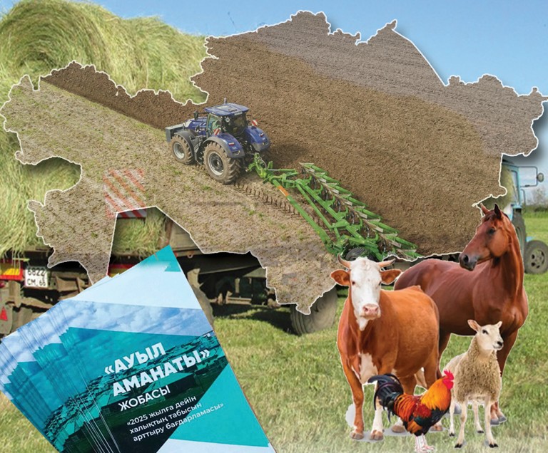 «Ауыл аманаты» жастарды қолдайды
