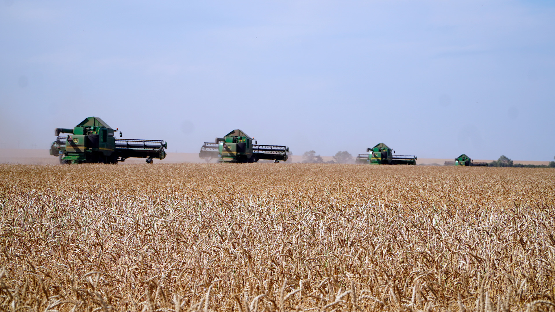 Агроөнеркәсіп кешенін дамыту: Шаруаларға жылдық 5%-бен жеңілдетілген несие беріледі