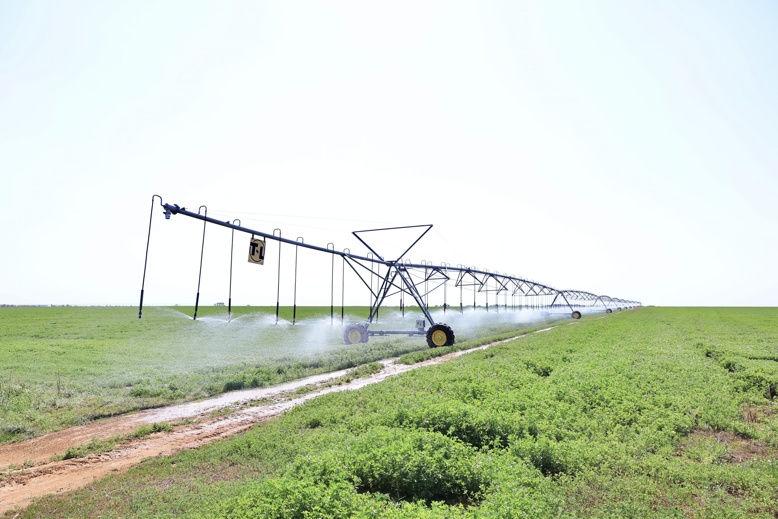 Қағаз жүзіндегі кооператив ауылды құтқара ма?