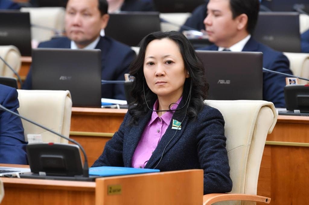 «Волонтерлік» ұғымын Конституцияда бекіту ұсынылды