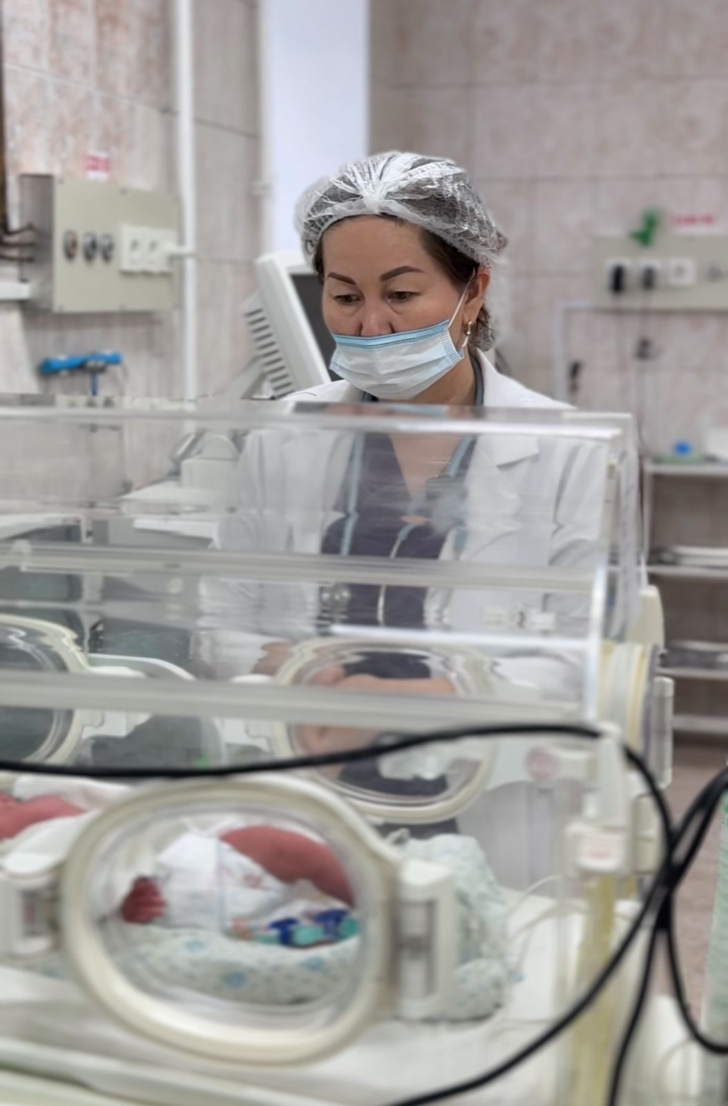 Шала туған 730 грамдық шарана қалай аман қалды?