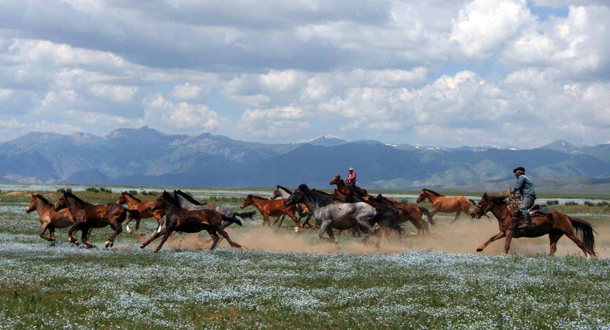 ТӨРЕ ТҮЛІК ТӨРГЕ ОЗСЫН ДЕСЕК...