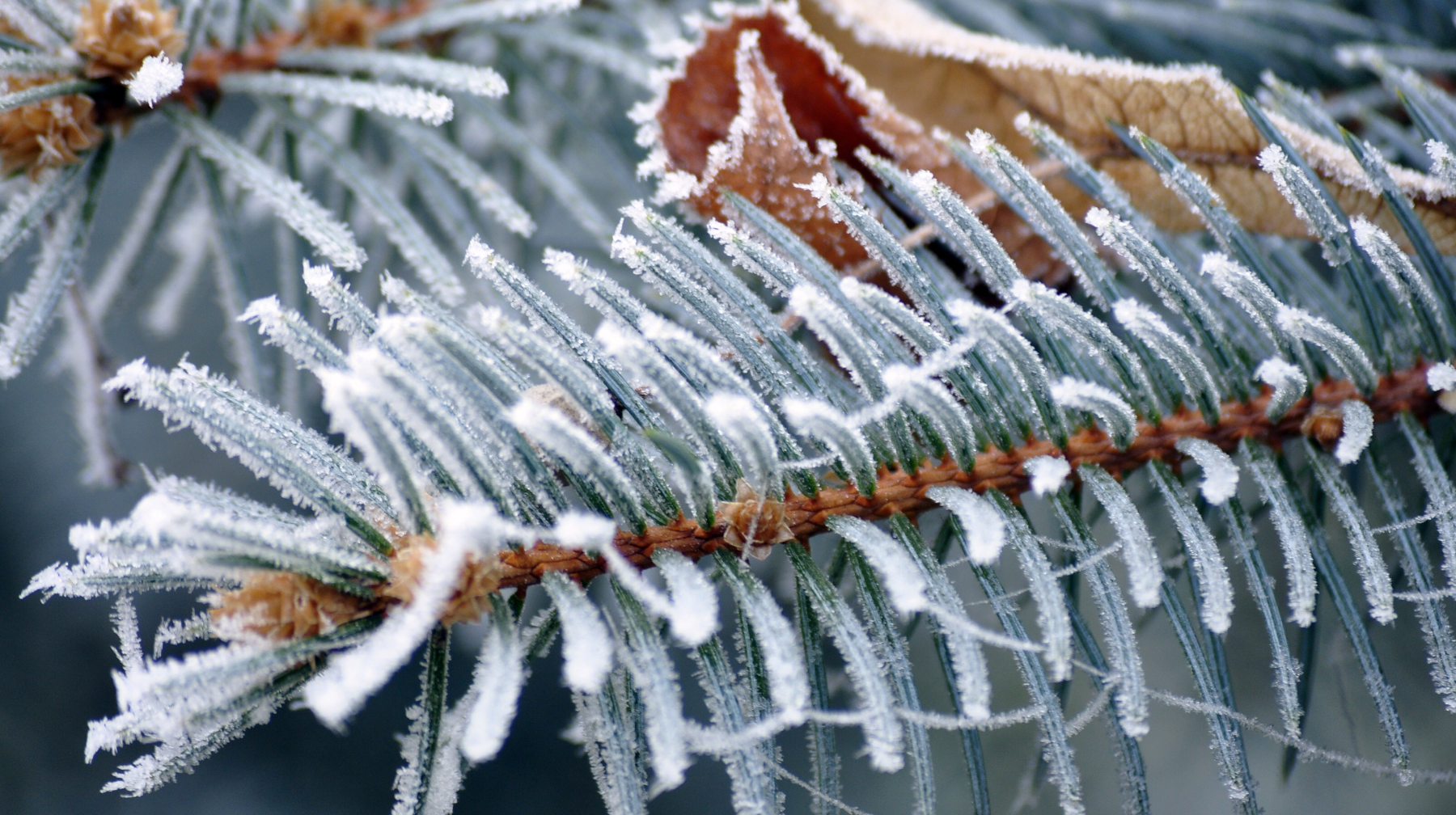 Еліміздің 17 өңірінде дауылды ескерту жарияланды