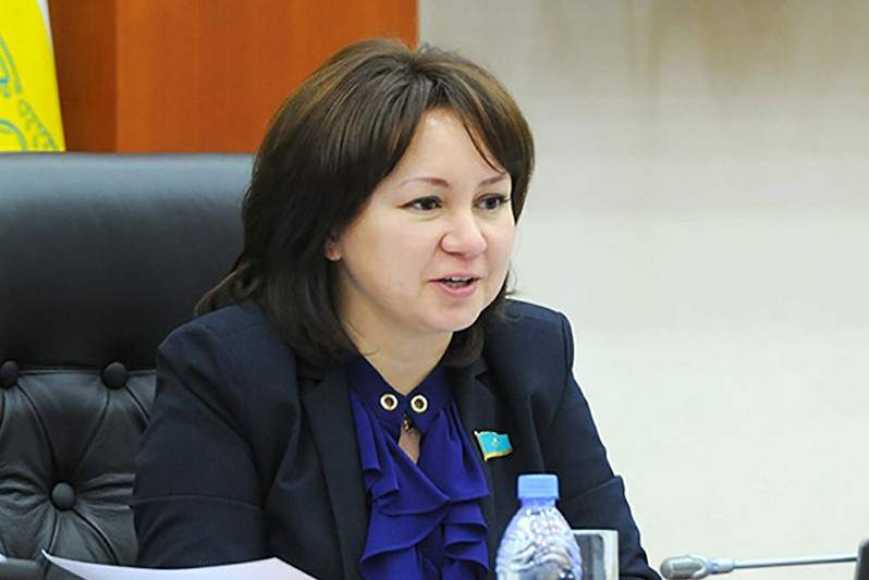 Жаңа Конституцияда өтпелі кезеңнің барлық рәсімдері нақты жазылады