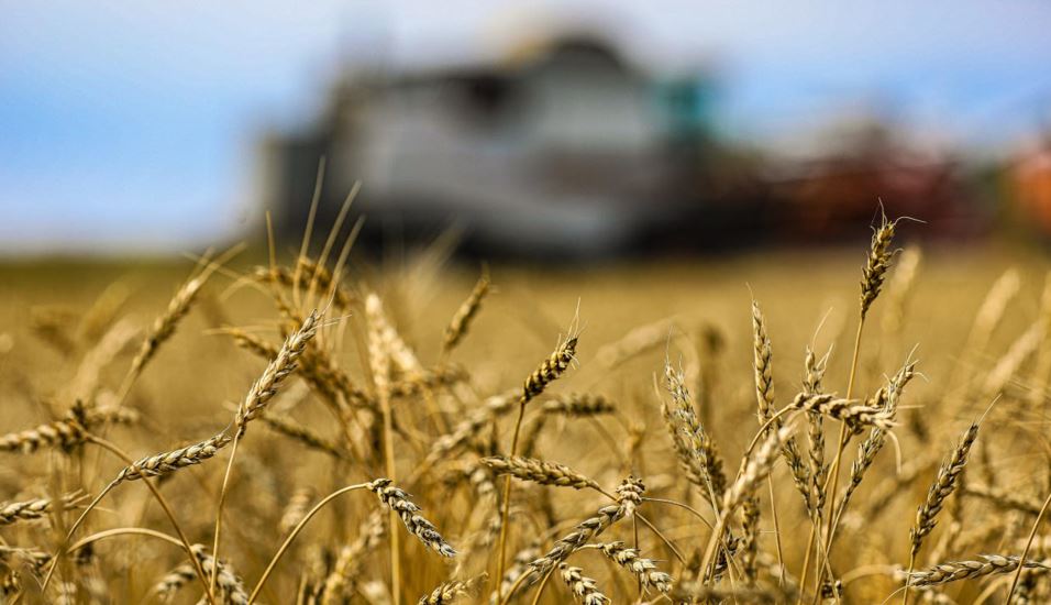 Үкімет ірі жер иеленушілерге қандай талап қойды?