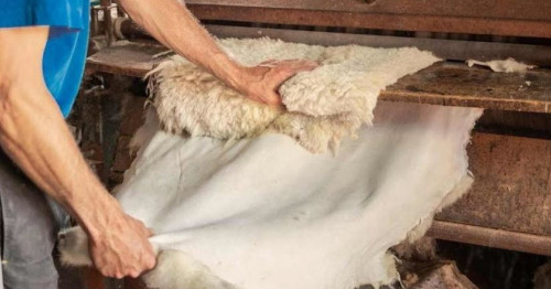 Тері өңдеу зауыттарына 10 млрд теңгеге жуық инвестиция салынады