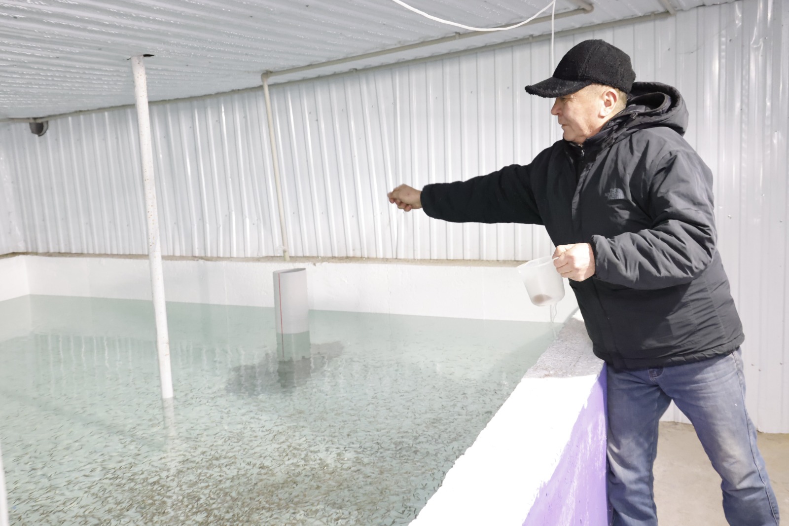 Балық өсіру – бәсі жоғары шаруашылық