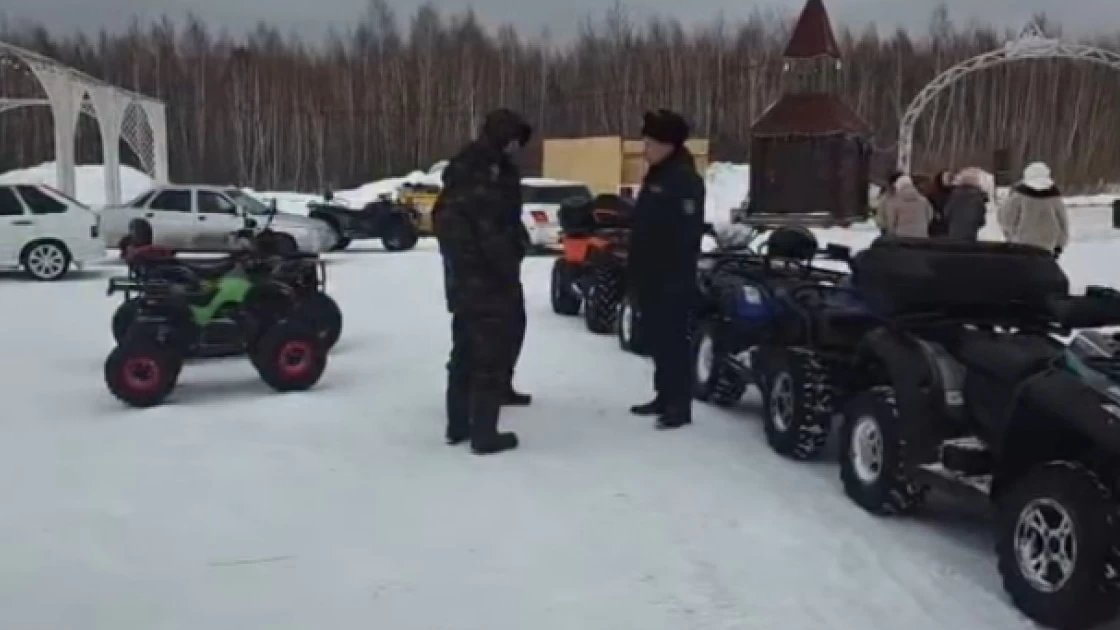 Бурабайда шанаға отырып ағашқа соғылған қыз қайтыс болды