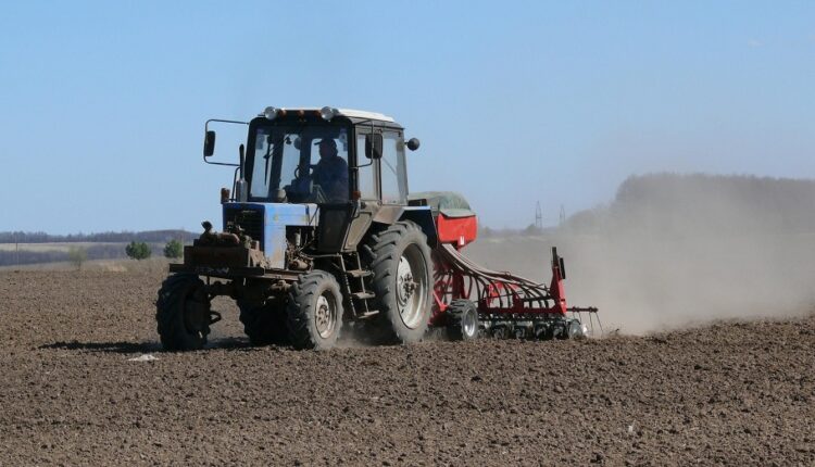 Қызылорда облысында суды аз қажет ететін дақылдар егіледі