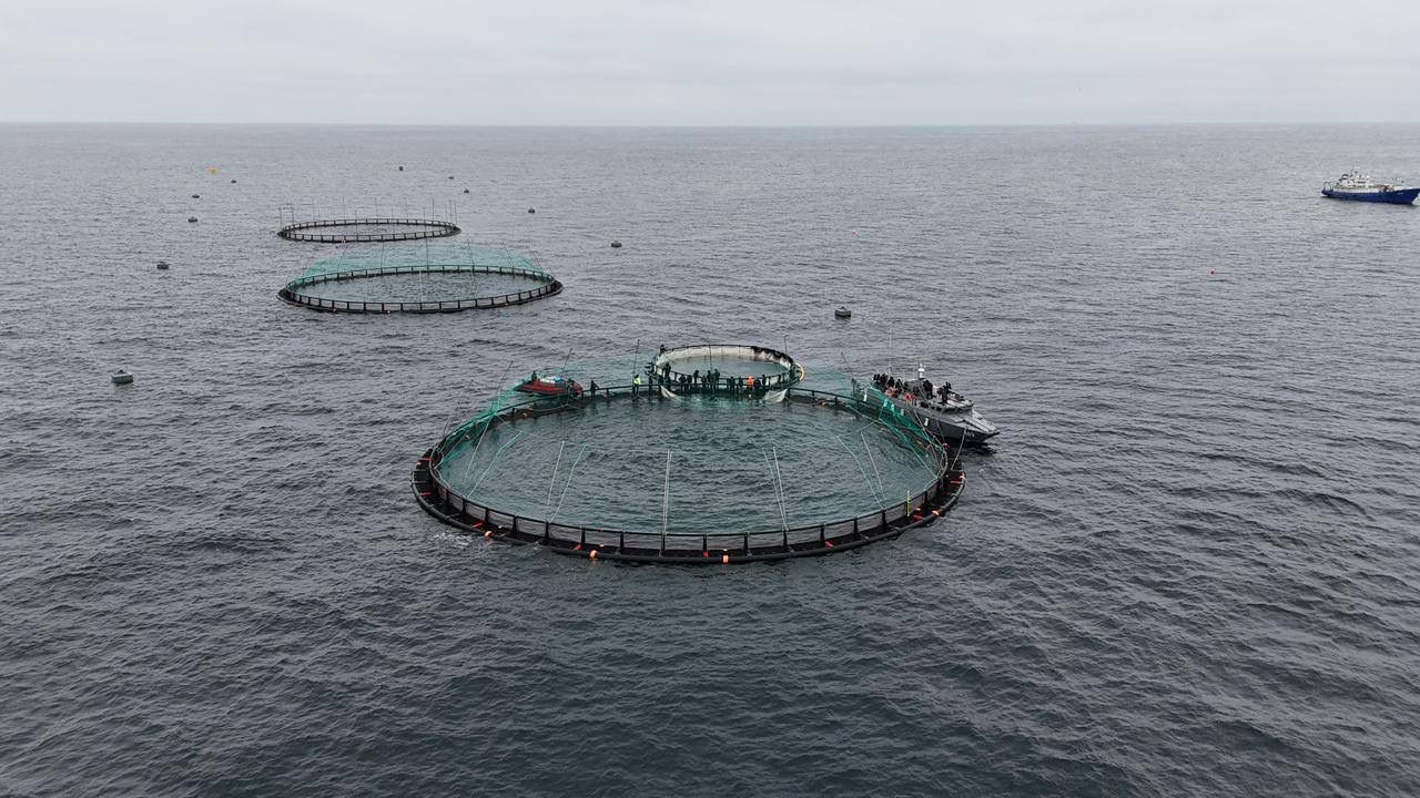 Айрықша аквамәдениет