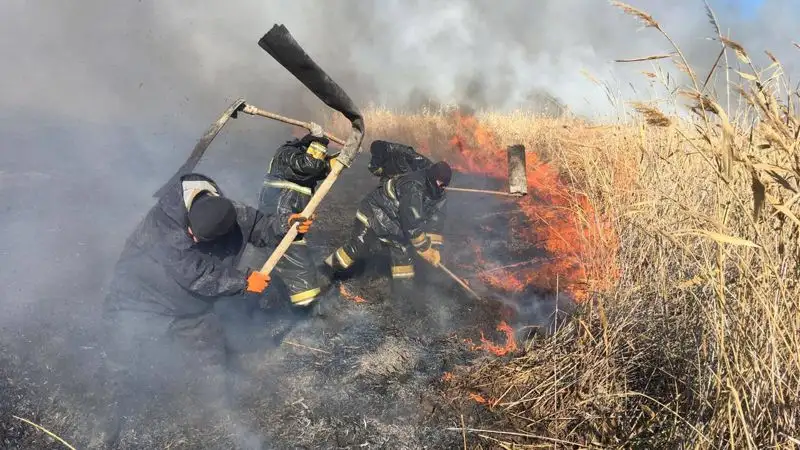 Атыраудағы Алғабас ауылынан 5 шақырым қашықта қамыс жанып жатыр