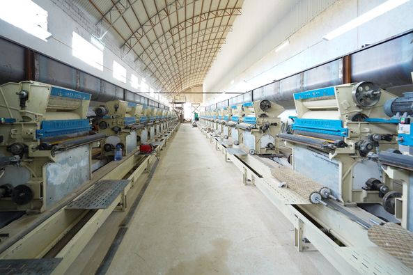 Көкшетауда жылына 300 мың тонна өсімдік майы өндірілмек