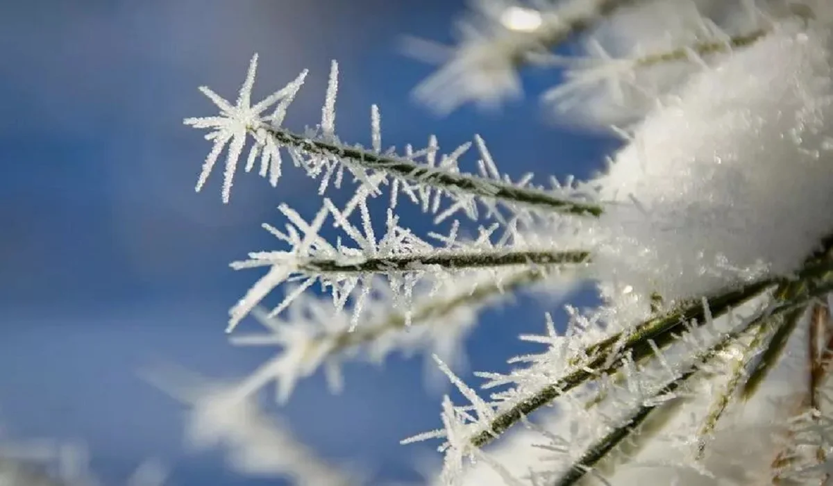 Еліміздің басым бөлігінде ауа райы күрт нашарлайды