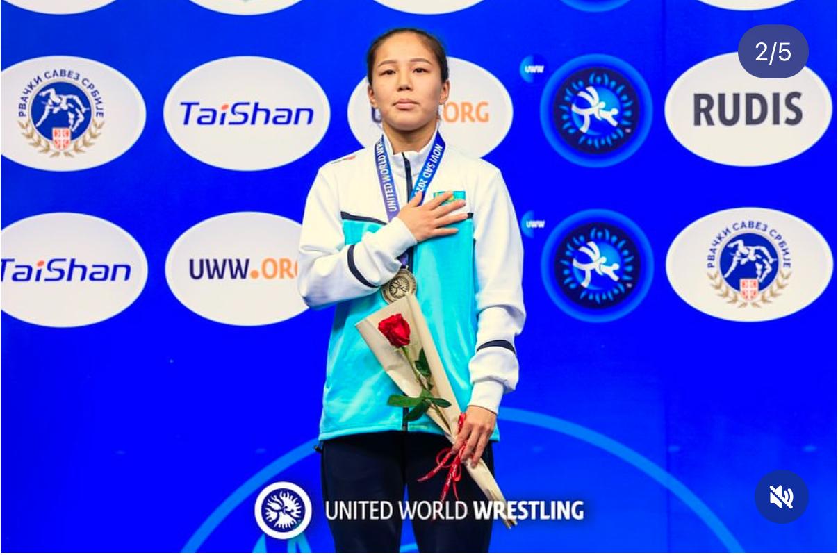 Шекісудің де қайыры бар