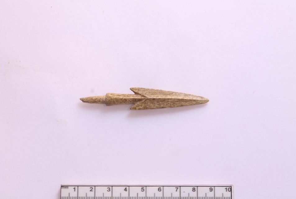 Тарихқа бай Тараңғұл мен Жамансу