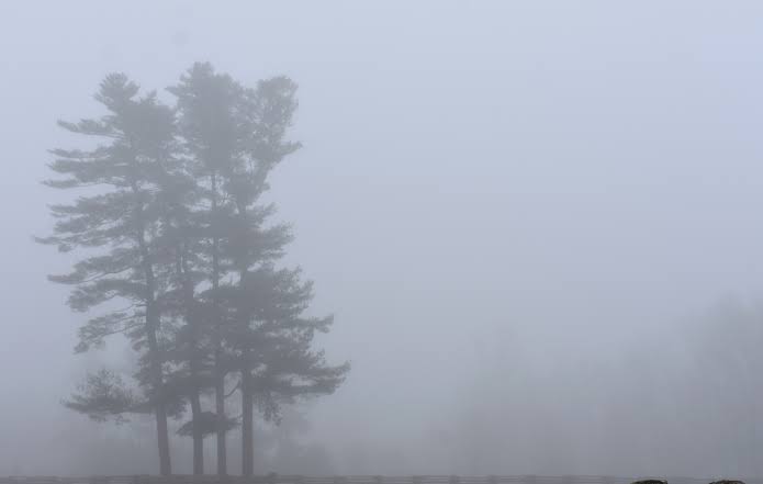 Ертең еліміздің басым бөлігінде тұман түседі