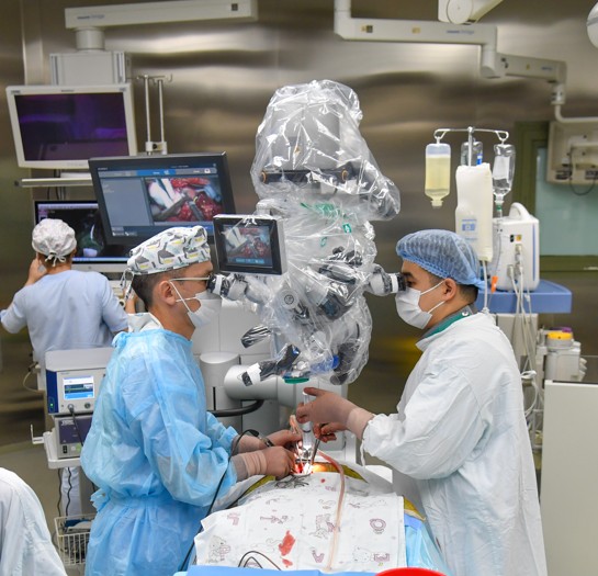 Дәтке қуат жасанды бүйрек