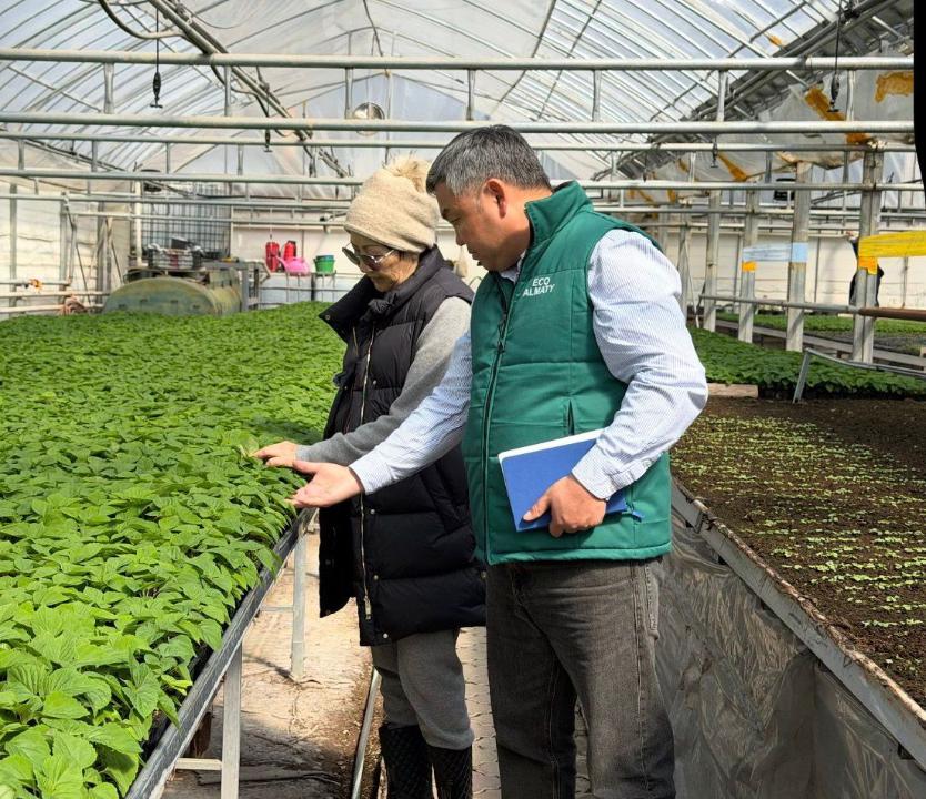 Гүлзарлар аумағы 77%-ға ұлғаяды: Биыл Алматыда қандай гүлдер егіледі?