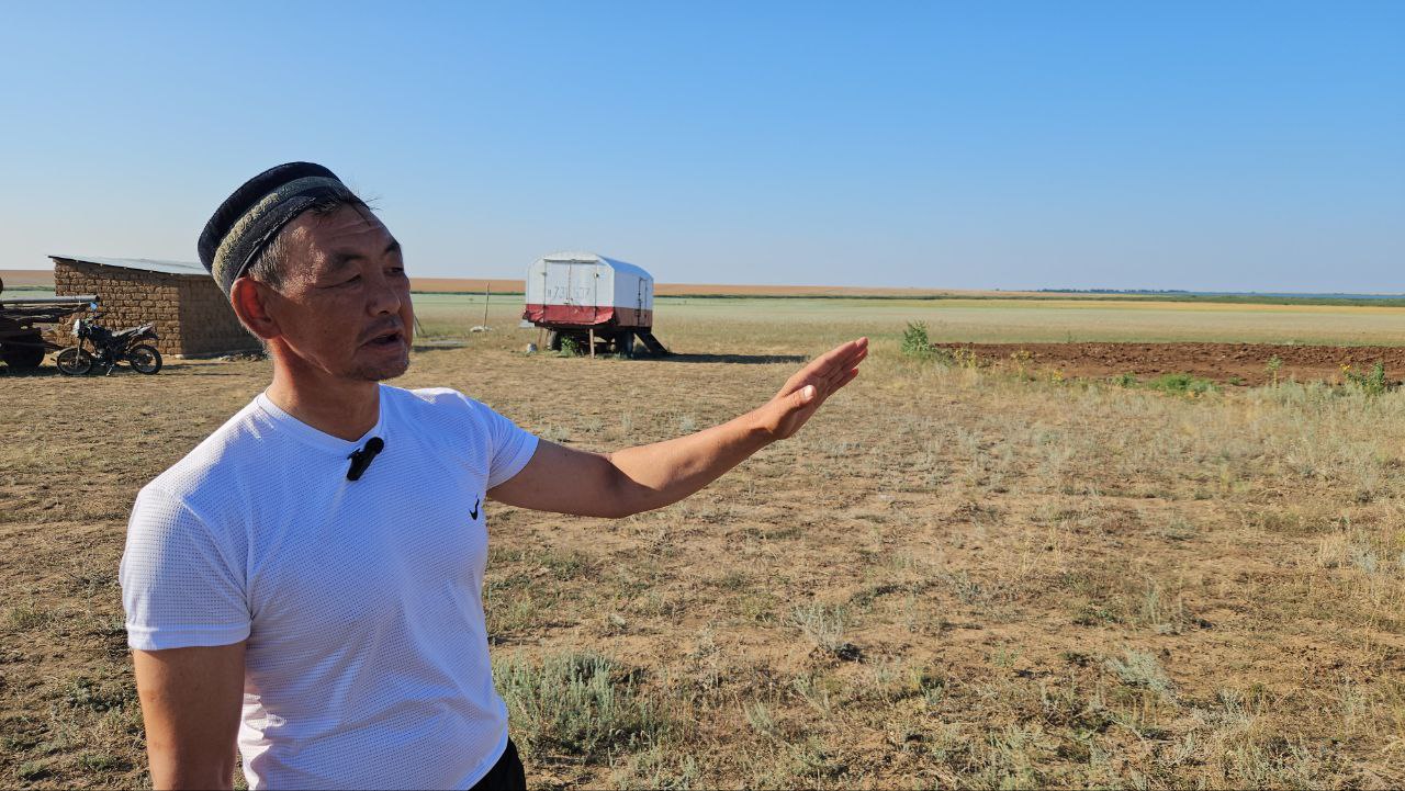 Жүйелі жұмыс: заңсыз алынған жер қайтарылды