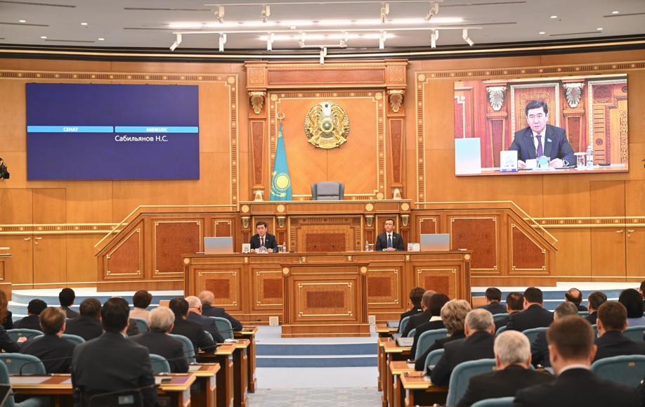 Алатаудың айрықша мәртебесі қандай болмақ?