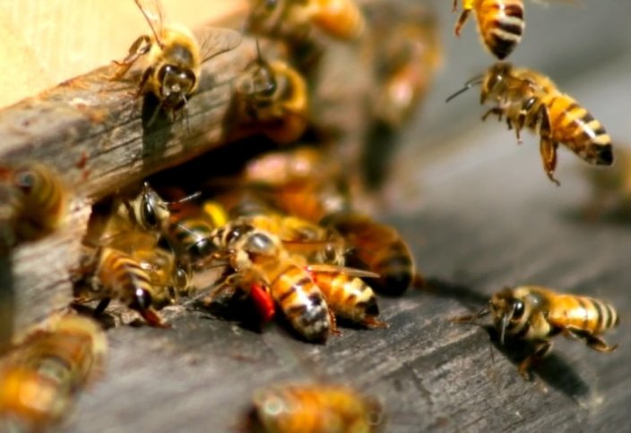 Уытты қайтарған күш