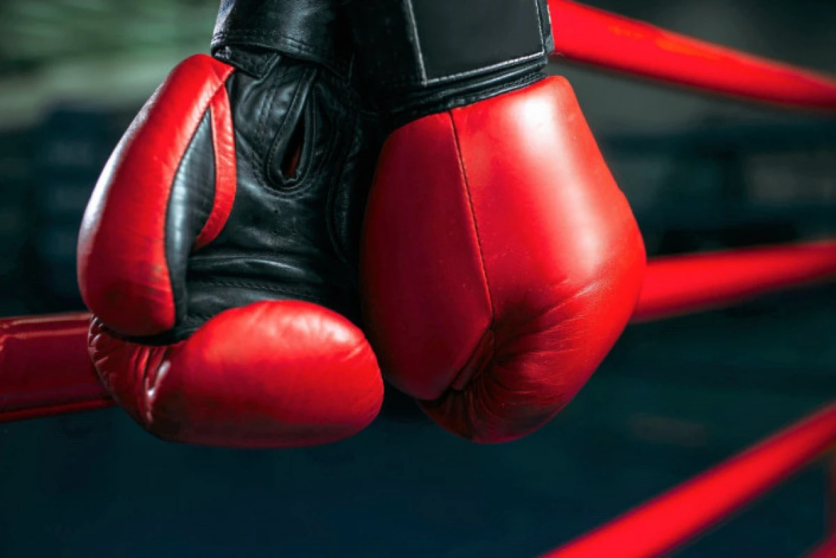 Үкімет жаңа тұжырымдаманы бекітті: Бокс саласында қандай өзгеріс болады?