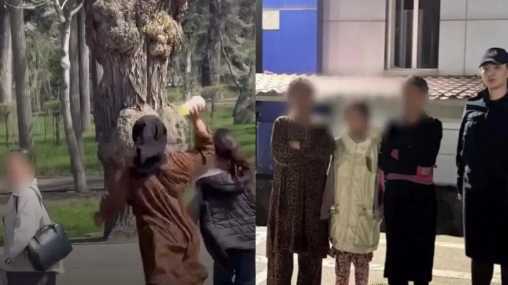 Алматыда тәртіп бұзған жасөспірімдер ел аумағынан шығарылуы мүмкін