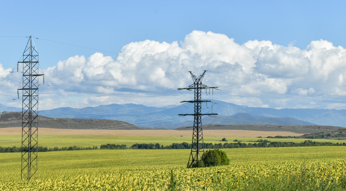Импорттан арылу мүмкіндігі