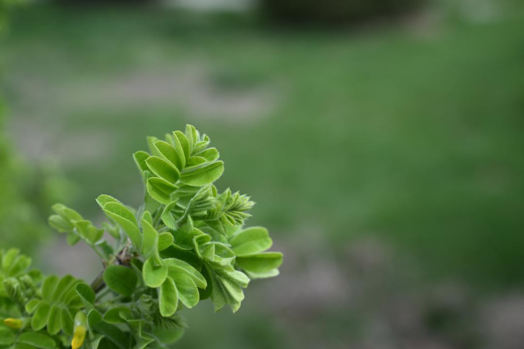 Табиғатпен үндескен өлке