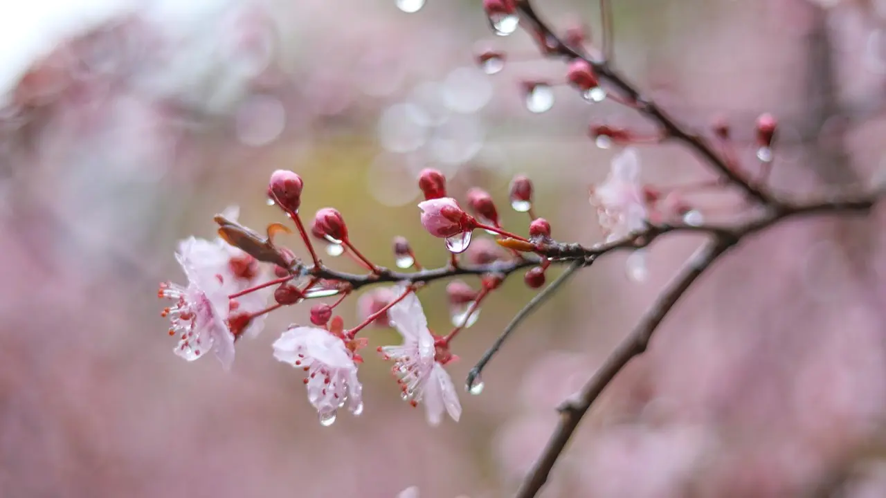 Еліміздің басым бөлігінде ауа райына байланысты ескерту жарияланды