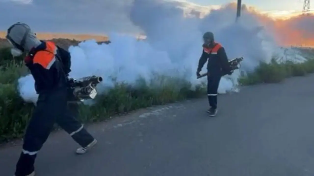 Астанада маса мен шыбын-шіркейге қарсы күрес күшейтілді