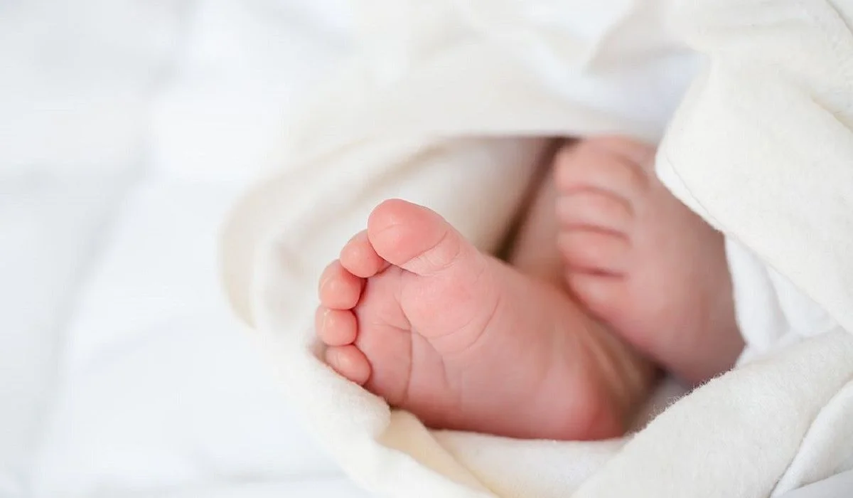 Қызылордада жаңа туған сәбиін сатпақ болған 25 жастағы әйел ұсталды