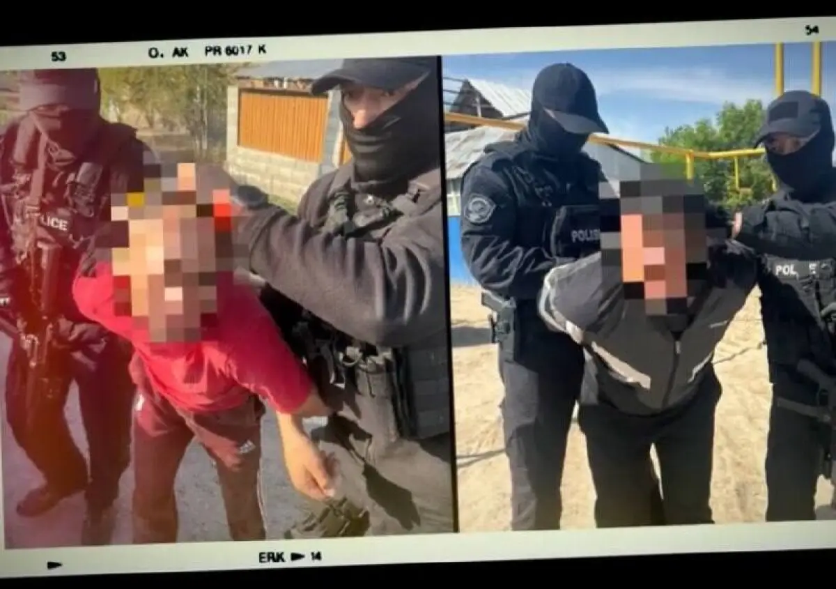 12 жылға сотталуы мүмкін: Алматы облысында мал ұрлығымен айналысқан екі топ қамауға алынды
