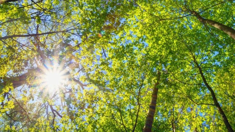 Еліміздің ірі мегаполистерінде ауа райы қандай болады