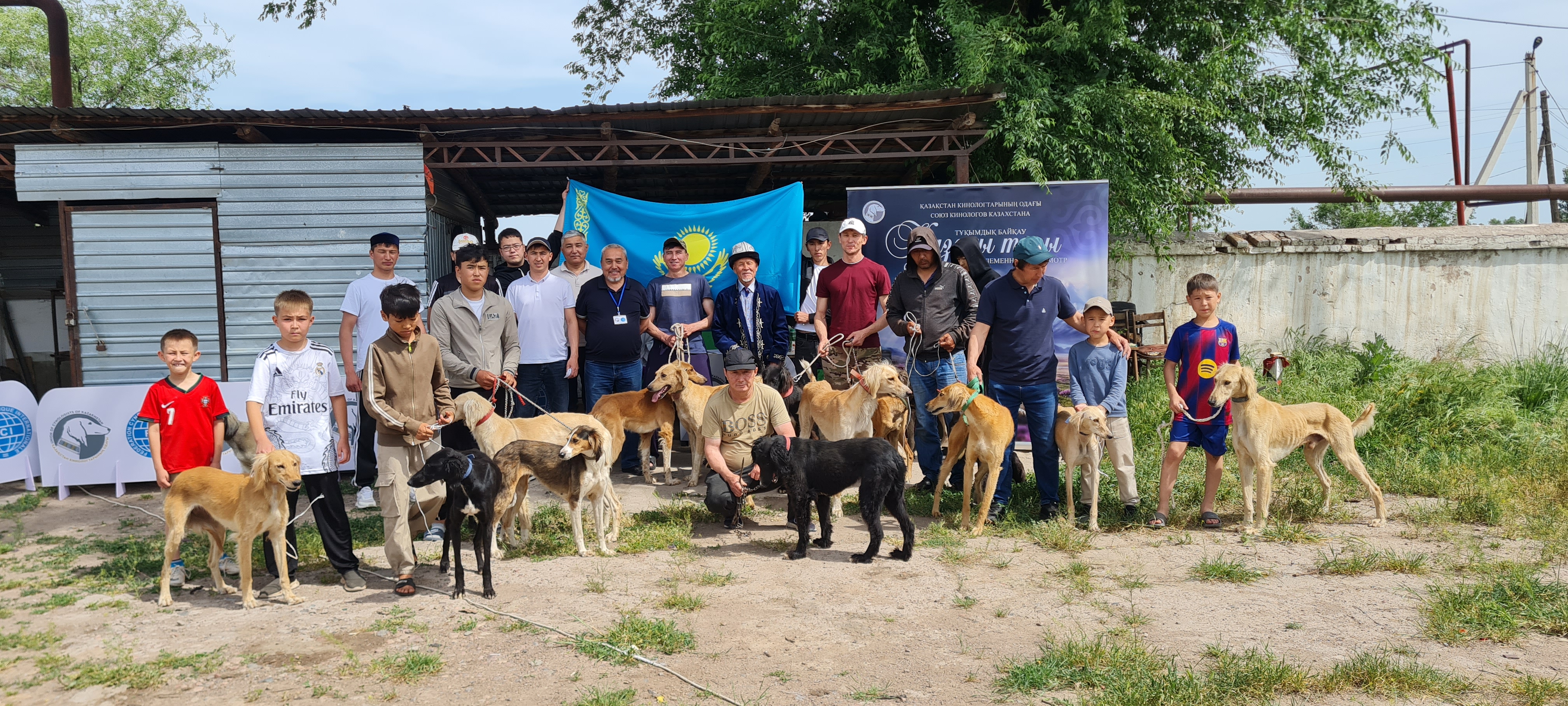 Меркіде үздік қазақы тазылар анықталды