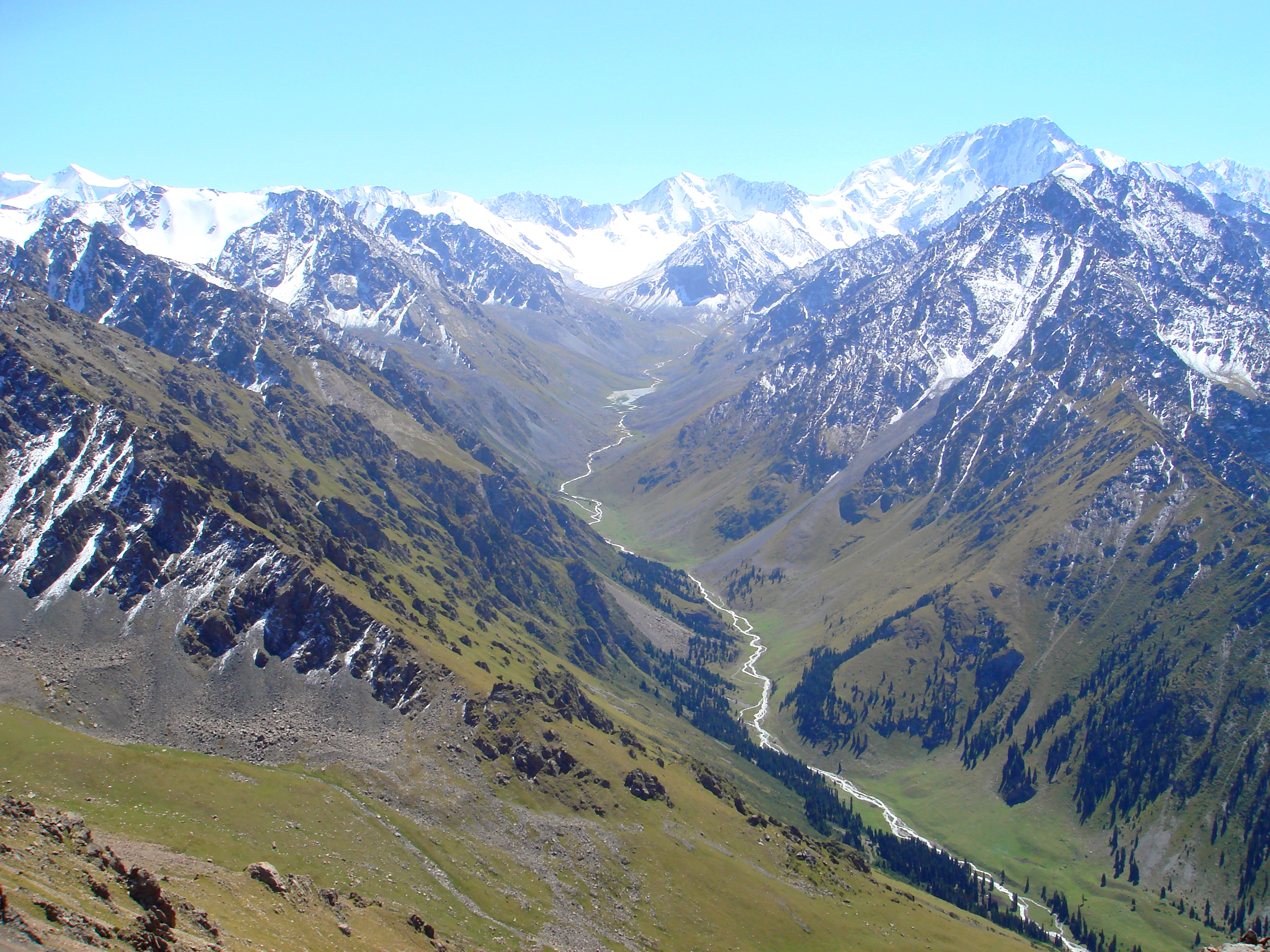 Almaty SuperSki жобасы қоғамдық талқылауда қолдау тапты