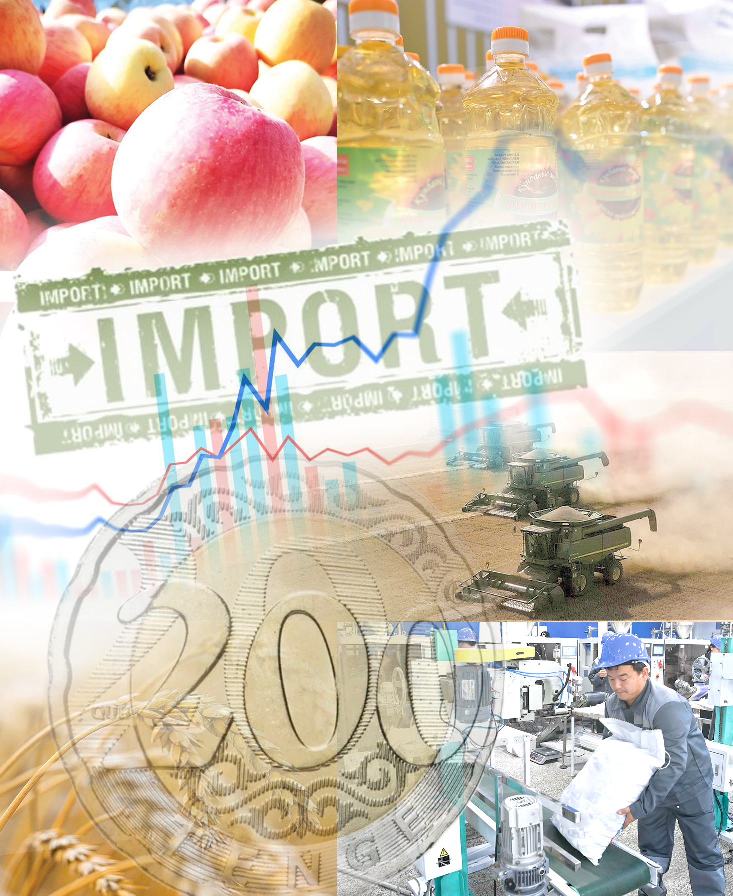 Инфрақұрылымды жаңғырту импортты алмастыра ала ма?
