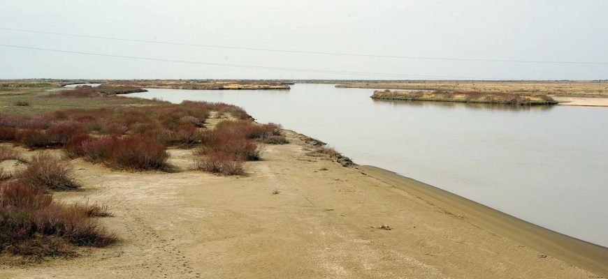 Қызылорда облысында жоғалып кеткен 6 жасар қыздың мәйіті табылды