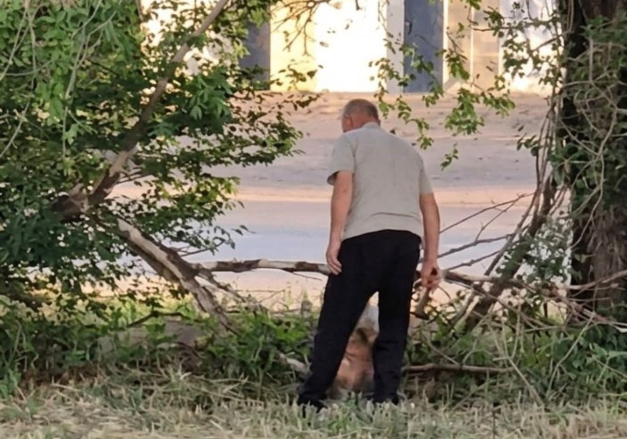 Ақмола облысында зейнеткер итті балғамен ұрып өлтірді