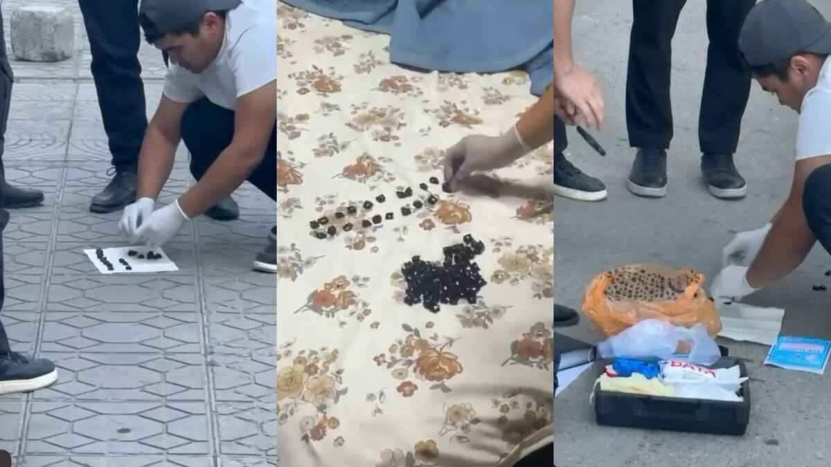 Таразда шетел азаматынан ірі көлемде есірткі тәркіленді