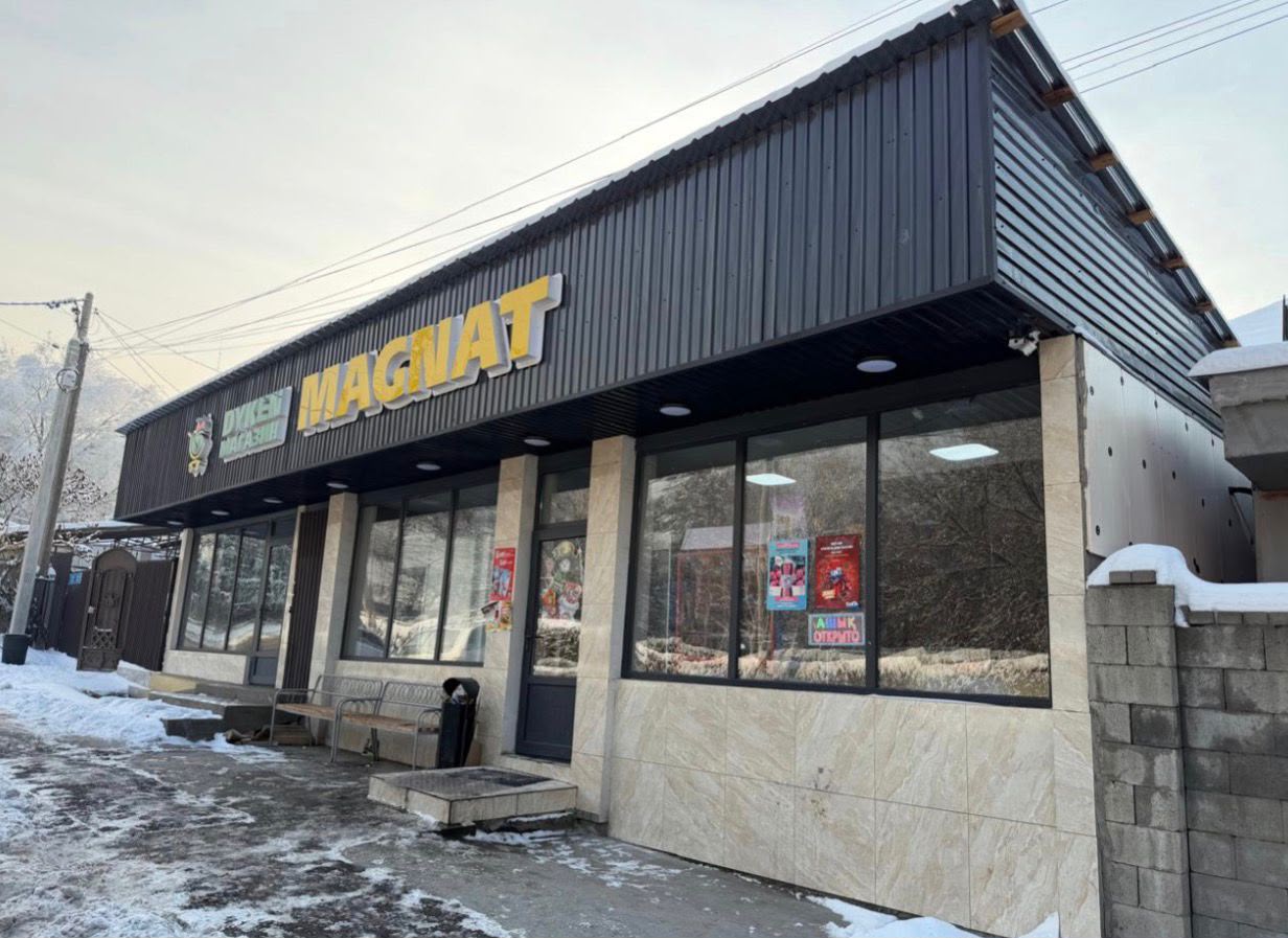 Алматыда заңсыз салынған дүкен сүрілді