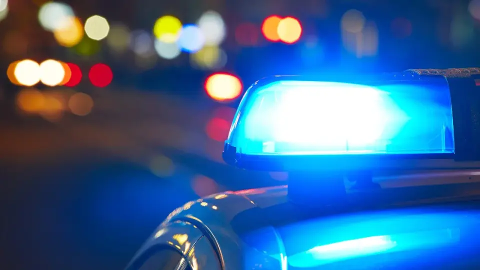 Павлодарда дүкенді тонап, полиция көлігін ұрлаған ер адам жол апатына ұшырады