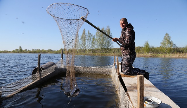 12-05-2016-forel balyk 1