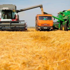 Егін жинау науқаны аяқталуға жақын
